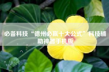 必备科技“德州必赢十大公式”科技辅助神器手机版