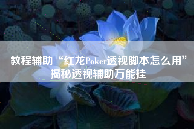 教程辅助“红龙Poker透视脚本怎么用”揭秘透视辅助万能挂