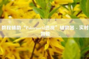 教程辅助“Pokerworld透视”辅助器 - 实时智能