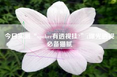 今日实测“xpoker有透视挂?”(曝光透视必备猫腻