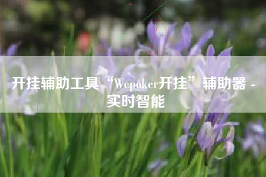 开挂辅助工具“Wepoker开挂”辅助器 - 实时智能