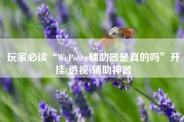 玩家必读“WePoker辅助器是真的吗”开挂(透视)辅助神器