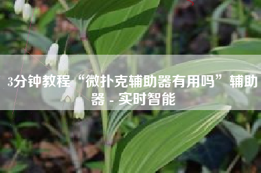 3分钟教程“微扑克辅助器有用吗”辅助器 - 实时智能