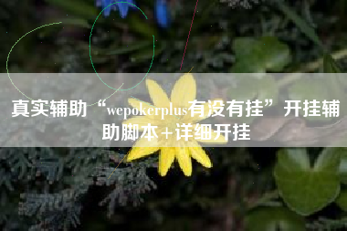 真实辅助“wepokerplus有没有挂”开挂辅助脚本+详细开挂