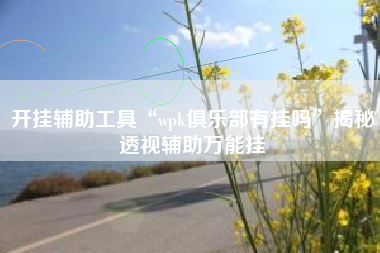 开挂辅助工具“wpk俱乐部有挂吗	”揭秘透视辅助万能挂