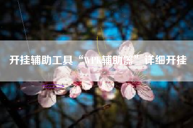 开挂辅助工具“WPK辅助器”详细开挂