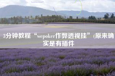 3分钟教程“wepoker作弊透视挂”(原来确实是有插件