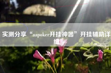 实测分享“aapoker开挂神器”开挂辅助详细