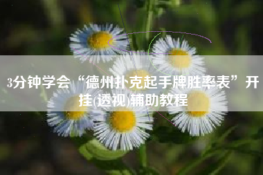 3分钟学会“德州扑克起手牌胜率表”开挂(透视)辅助教程