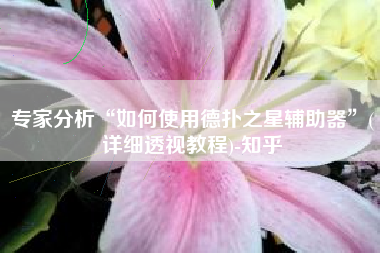 专家分析“如何使用德扑之星辅助器”(详细透视教程)-知乎