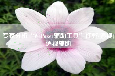 专家分析“WePoker辅助工具”作弊(透视)透视辅助