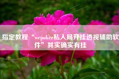 指定教程“wepoker私人局开挂透视辅助软件”其实确实有挂