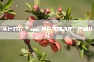 实操教程“wepoke有没有辅助挂”详细开挂