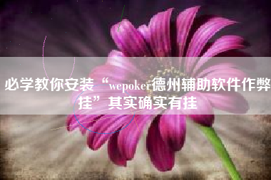 必学教你安装“wepoker德州辅助软件作弊挂”其实确实有挂