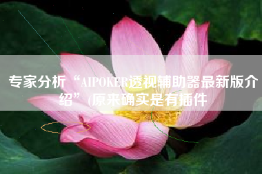 专家分析“AIPOKER透视辅助器最新版介绍”(原来确实是有插件