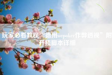 玩家必看教程“德州wepoker作弊透视”附开挂脚本详细