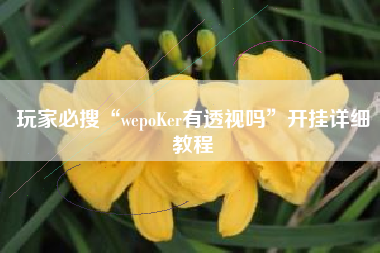 玩家必搜“wepoKer有透视吗”开挂详细教程