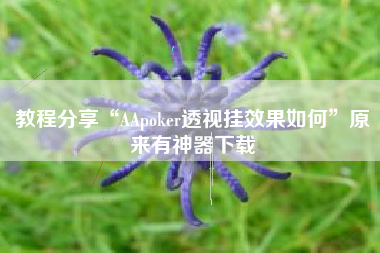 教程分享“AApoker透视挂效果如何”原来有神器下载