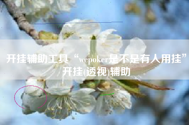 开挂辅助工具“wepoker是不是有人用挂”开挂(透视)辅助
