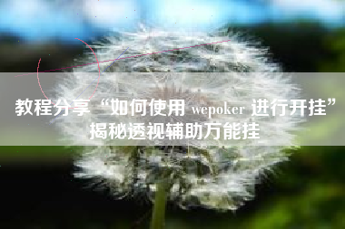 教程分享“如何使用 wepoker 进行开挂”揭秘透视辅助万能挂