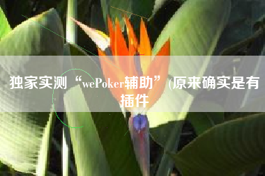 独家实测“wePoker辅助”(原来确实是有插件
