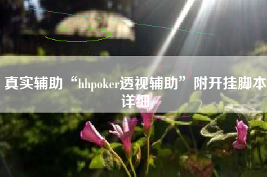 真实辅助“hhpoker透视辅助”附开挂脚本详细