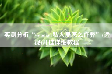 实测分析“wepoker私人局怎么作弊”(透视)开挂详细教程
