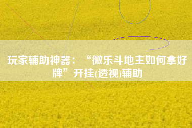 玩家辅助神器：“微乐斗地主如何拿好牌”开挂(透视)辅助