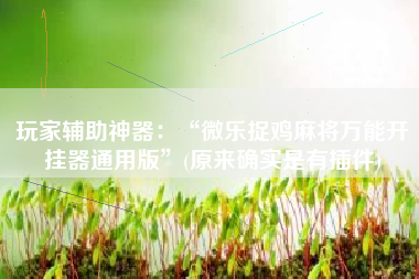 玩家辅助神器：“微乐捉鸡麻将万能开挂器通用版	”(原来确实是有插件)