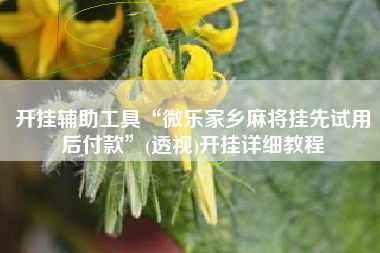 开挂辅助工具“微乐家乡麻将挂先试用后付款	”(透视)开挂详细教程