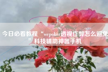 今日必看教程“wepoker透视作弊怎么避免	”科技辅助神器手机
