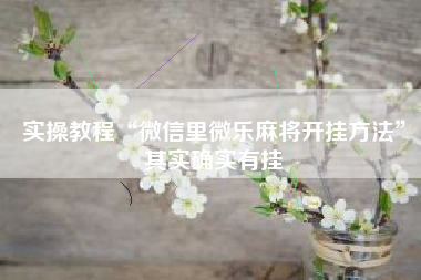 实操教程“微信里微乐麻将开挂方法”其实确实有挂