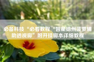 必备科技“必看教程“智星德州菠萝辅助透视脚	”附开挂脚本详细教程