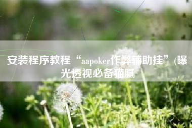 安装程序教程“aapoker作弊辅助挂”(曝光透视必备猫腻