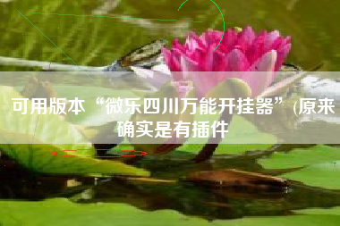 可用版本“微乐四川万能开挂器”(原来确实是有插件
