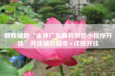 教程辅助“雀神广东麻将微信小程序开挂	”开挂辅助脚本+详细开挂