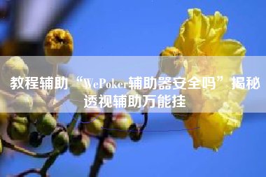 教程辅助“WePoker辅助器安全吗	”揭秘透视辅助万能挂