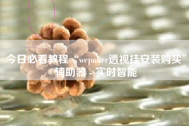 今日必看教程“wepoker透视挂安装购买	”辅助器 - 实时智能