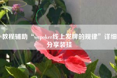 教程辅助“wepoker线上发牌的规律	”详细分享装挂