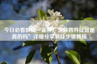今日必看教程“雀神广东麻将开挂器是真的吗”详细分享装挂步骤教程