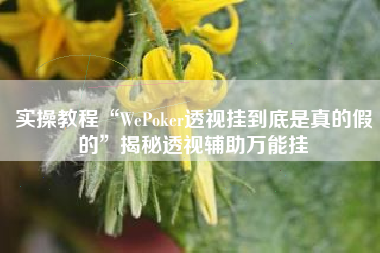 实操教程“WePoker透视挂到底是真的假的”揭秘透视辅助万能挂