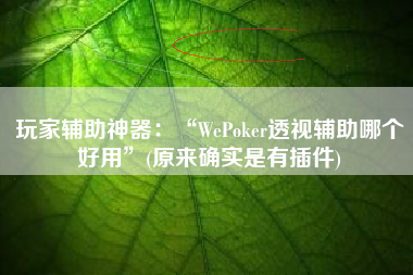 玩家辅助神器：“WePoker透视辅助哪个好用	”(原来确实是有插件)