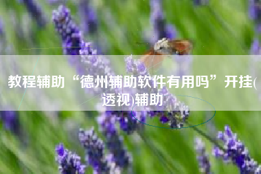 教程辅助“德州辅助软件有用吗”开挂(透视)辅助