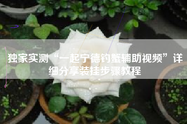 独家实测“一起宁德钓蟹辅助视频”详细分享装挂步骤教程