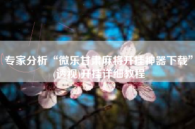 专家分析“微乐甘肃麻将开挂神器下载	”(透视)开挂详细教程