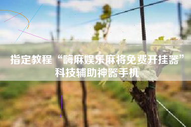 指定教程“嗨麻娱乐麻将免费开挂器”科技辅助神器手机