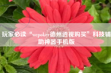 玩家必读“wepoker德州透视购买	”科技辅助神器手机版