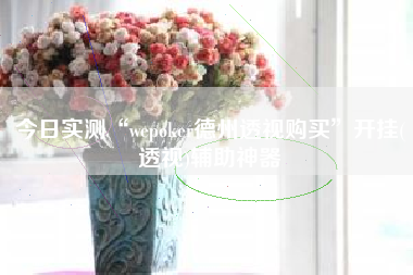 今日实测“wepoker德州透视购买”开挂(透视)辅助神器