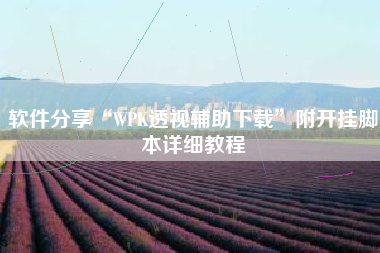 软件分享“WPK透视辅助下载”附开挂脚本详细教程