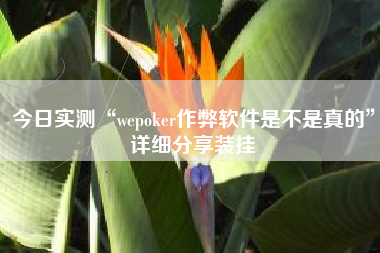 今日实测“wepoker作弊软件是不是真的”详细分享装挂